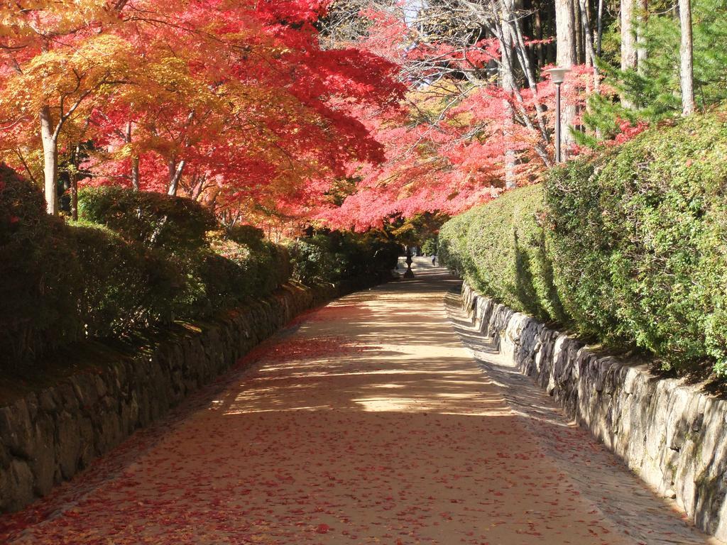 Готель Koyasan Shukubo Jokiin Екстер'єр фото